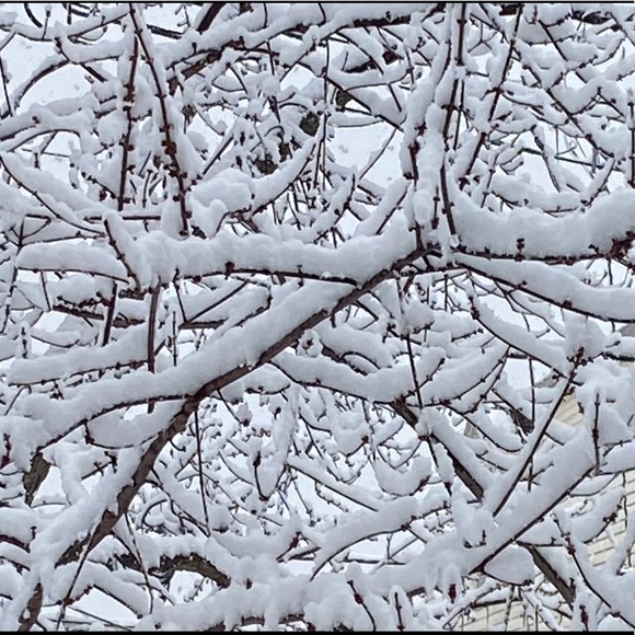 Meet your Posher, Laura - Picture 4 of 5